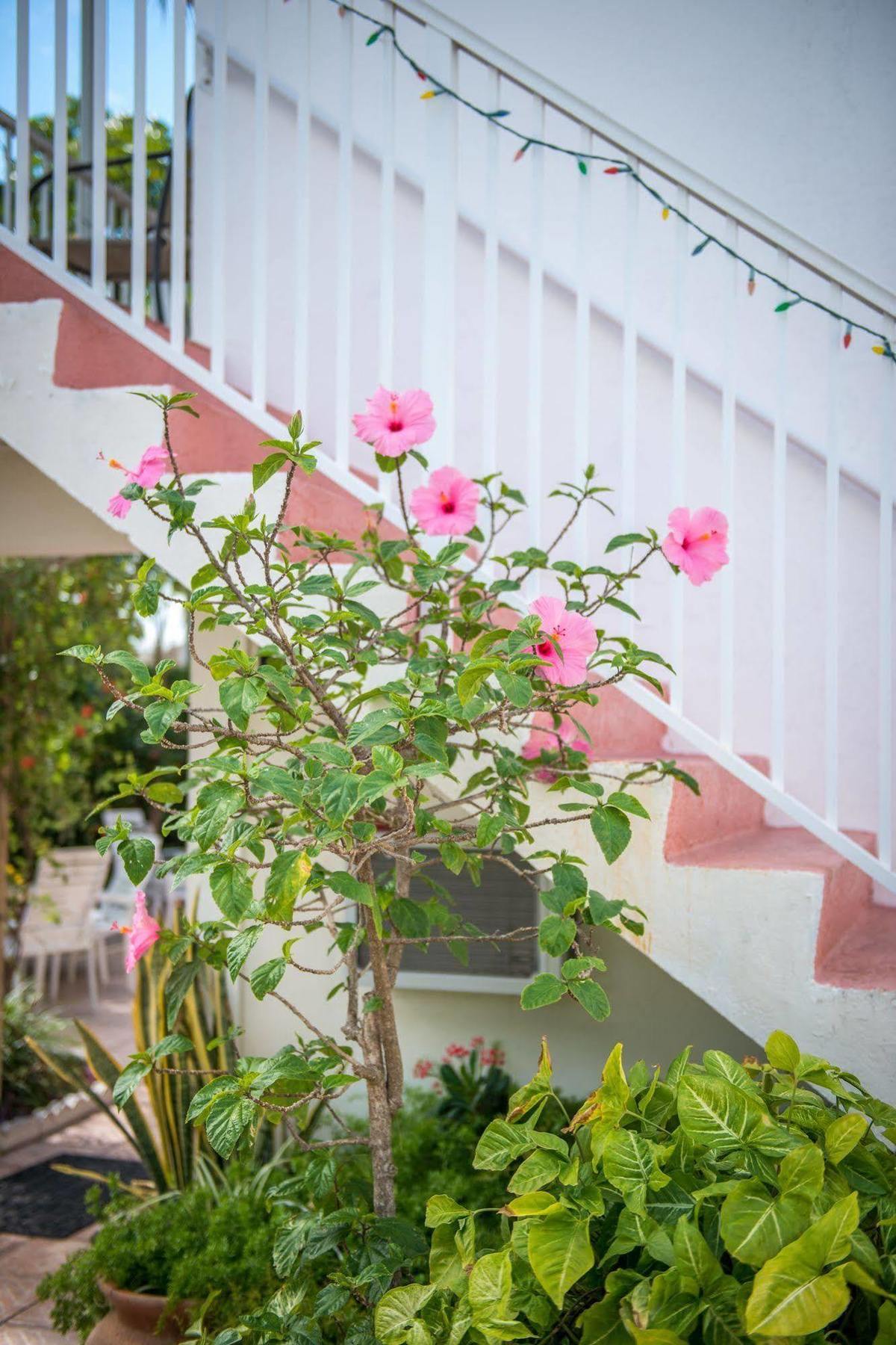 Shore Haven Resort Inn Lauderdale-by-the-Sea Εξωτερικό φωτογραφία